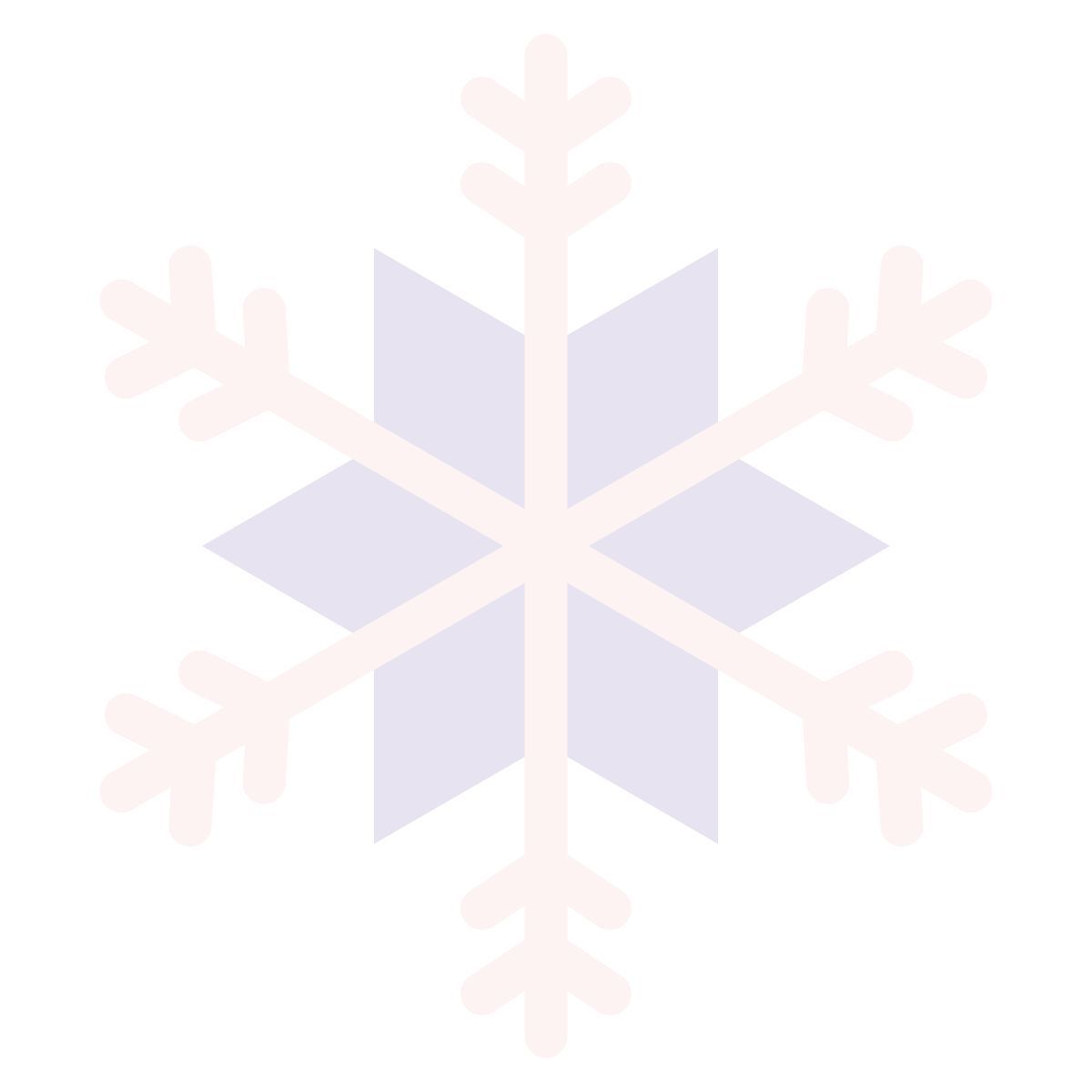 snowflake icon
