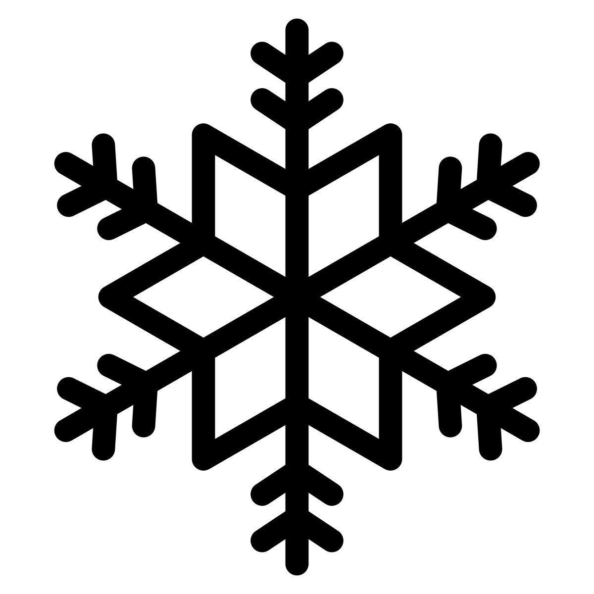 snowflake icon