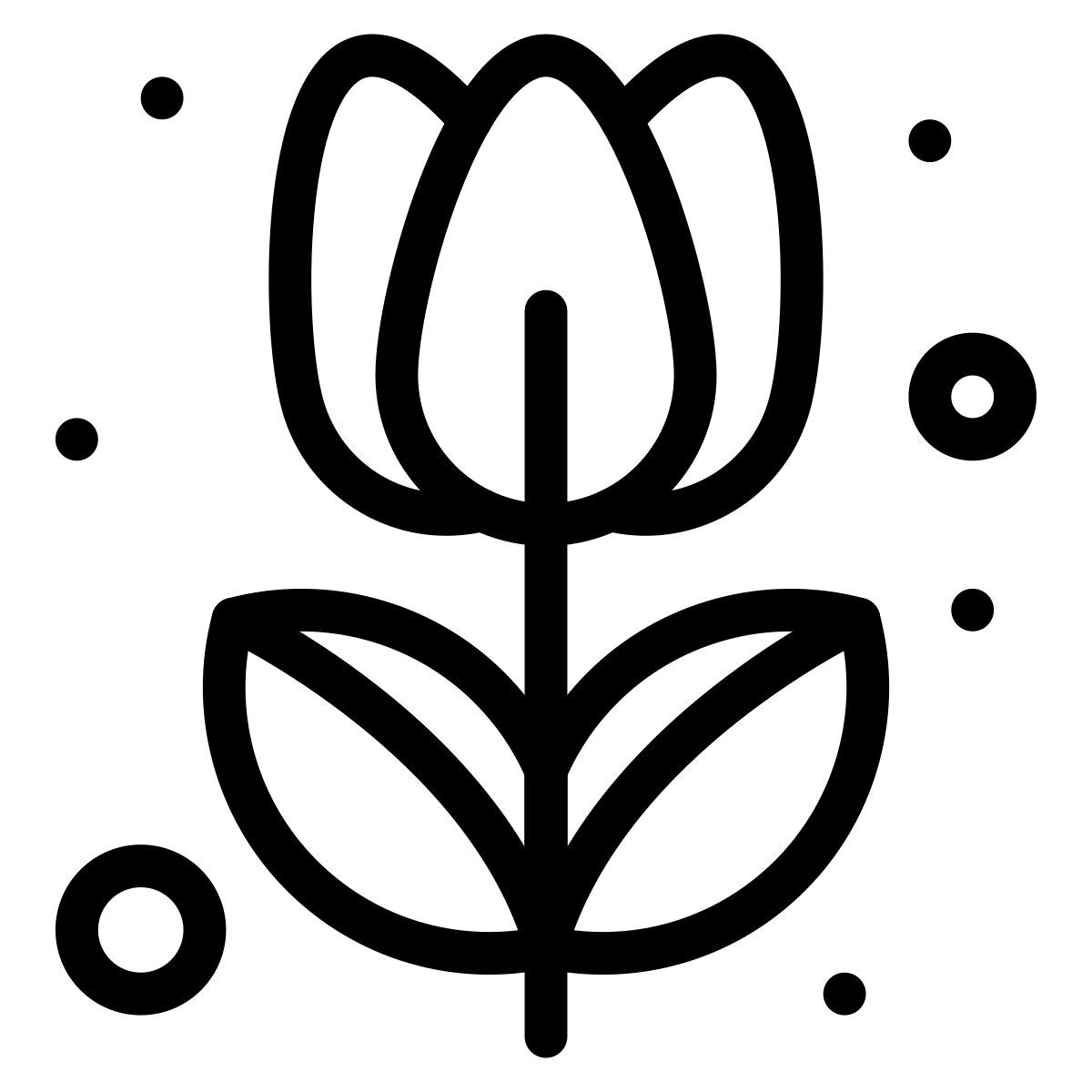 tulipe icon