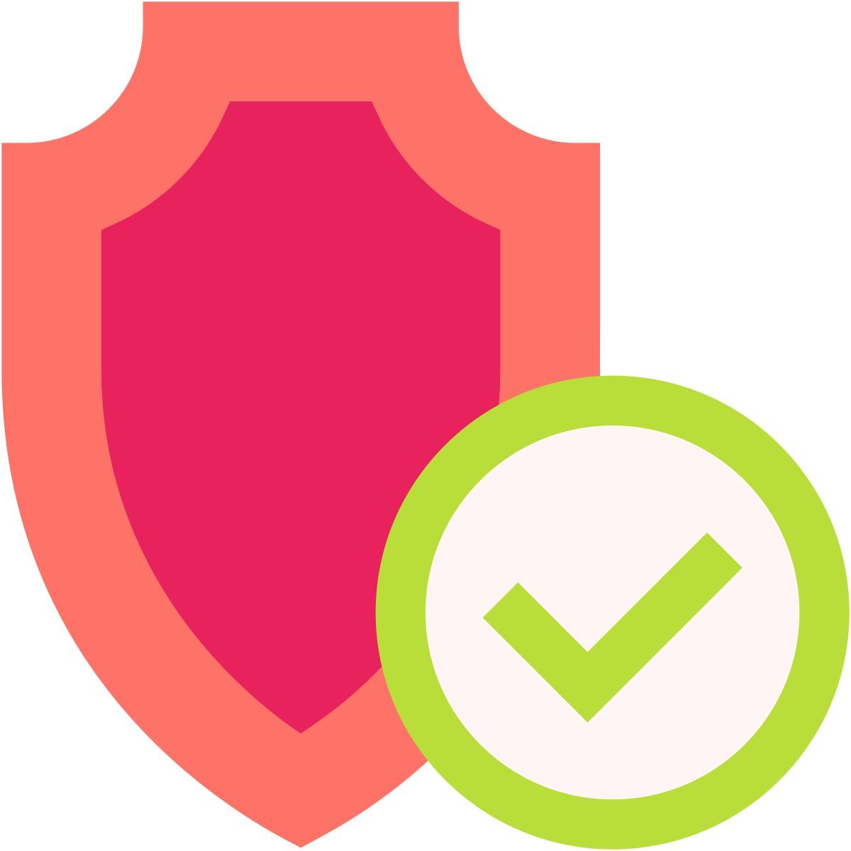 verificare icon