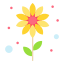 external flower-spring-others-iconmarket icon