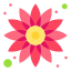 external sunflower-spring-others-iconmarket icon