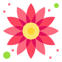 external sunflower-spring-others-iconmarket icon