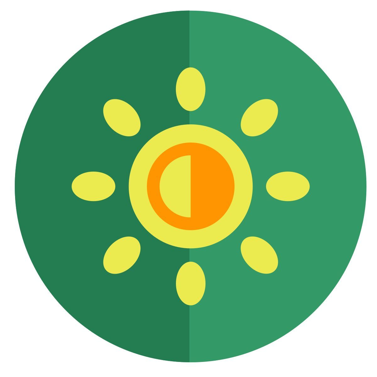 brightness icon