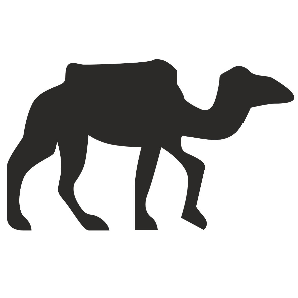 camel icon