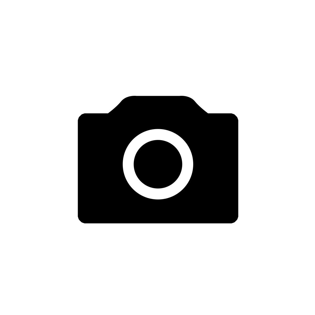 fotocamera icon