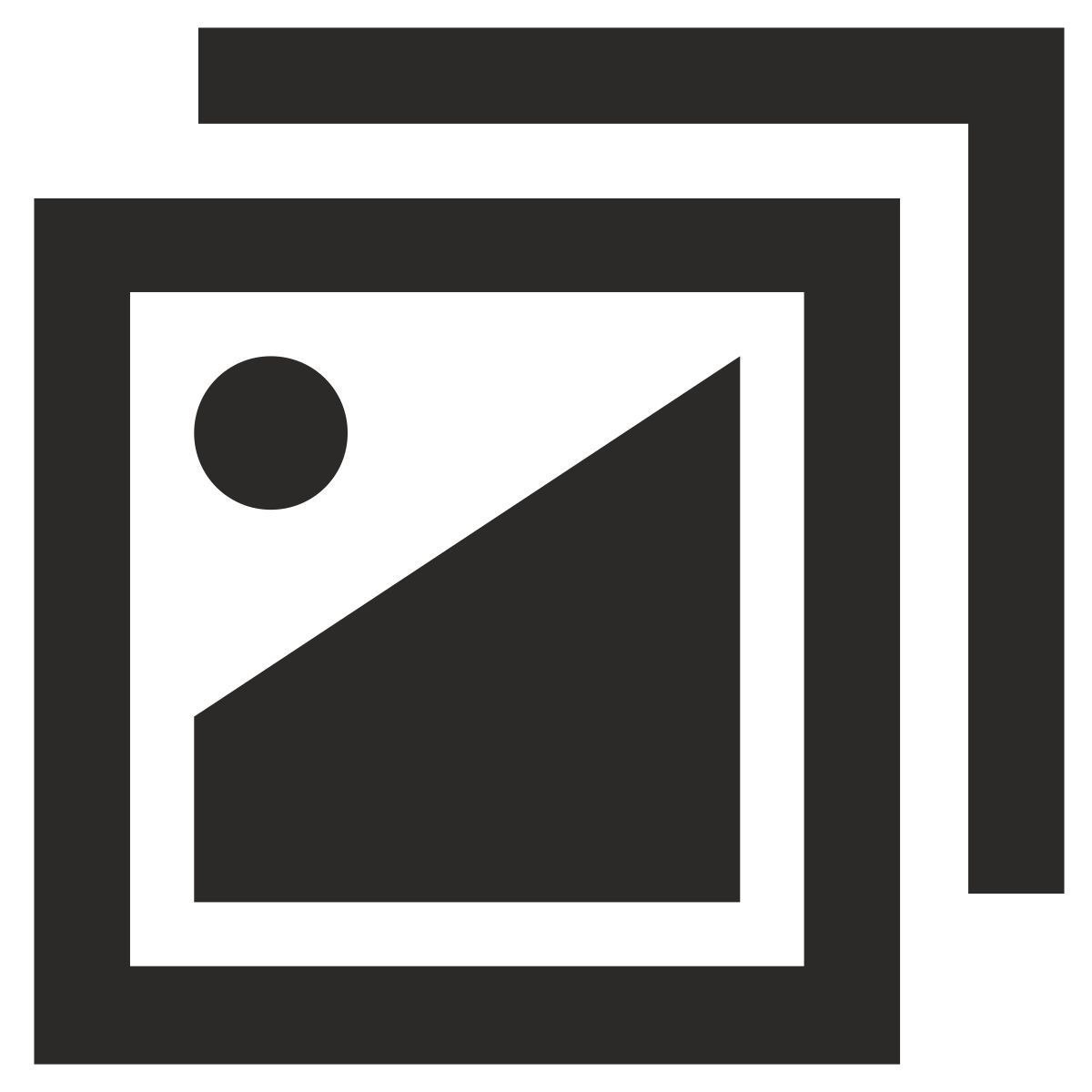 duplicate icon