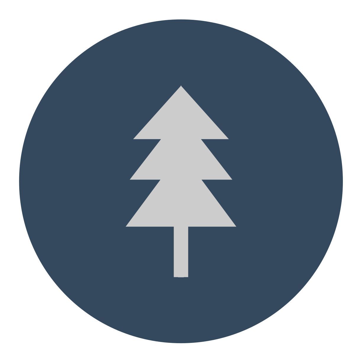 fir tree icon