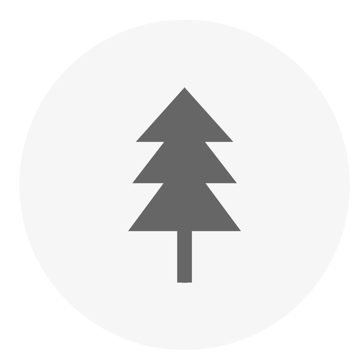 fir tree icon