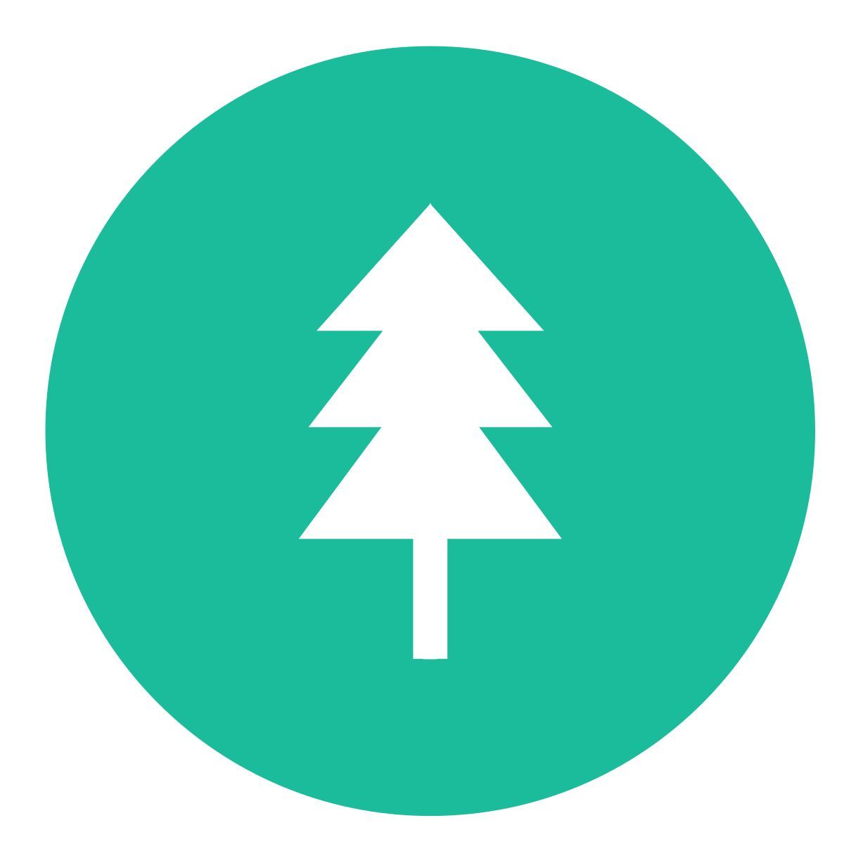 fir tree icon
