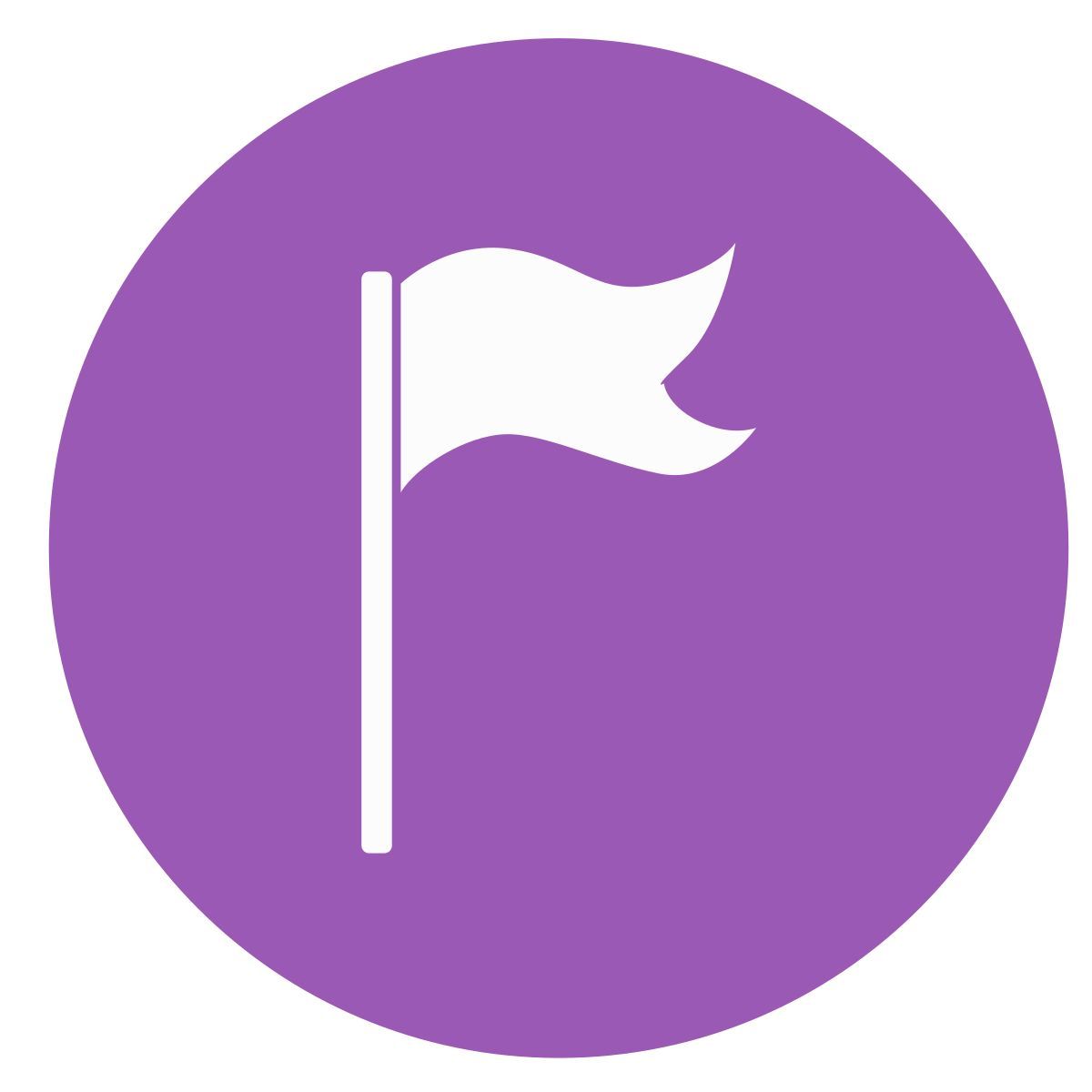 flagge 2 icon