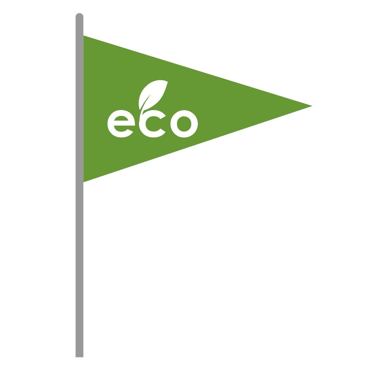 flag icon