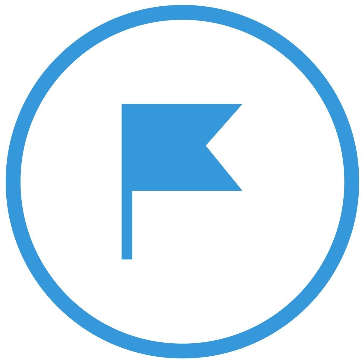 drapeau icon