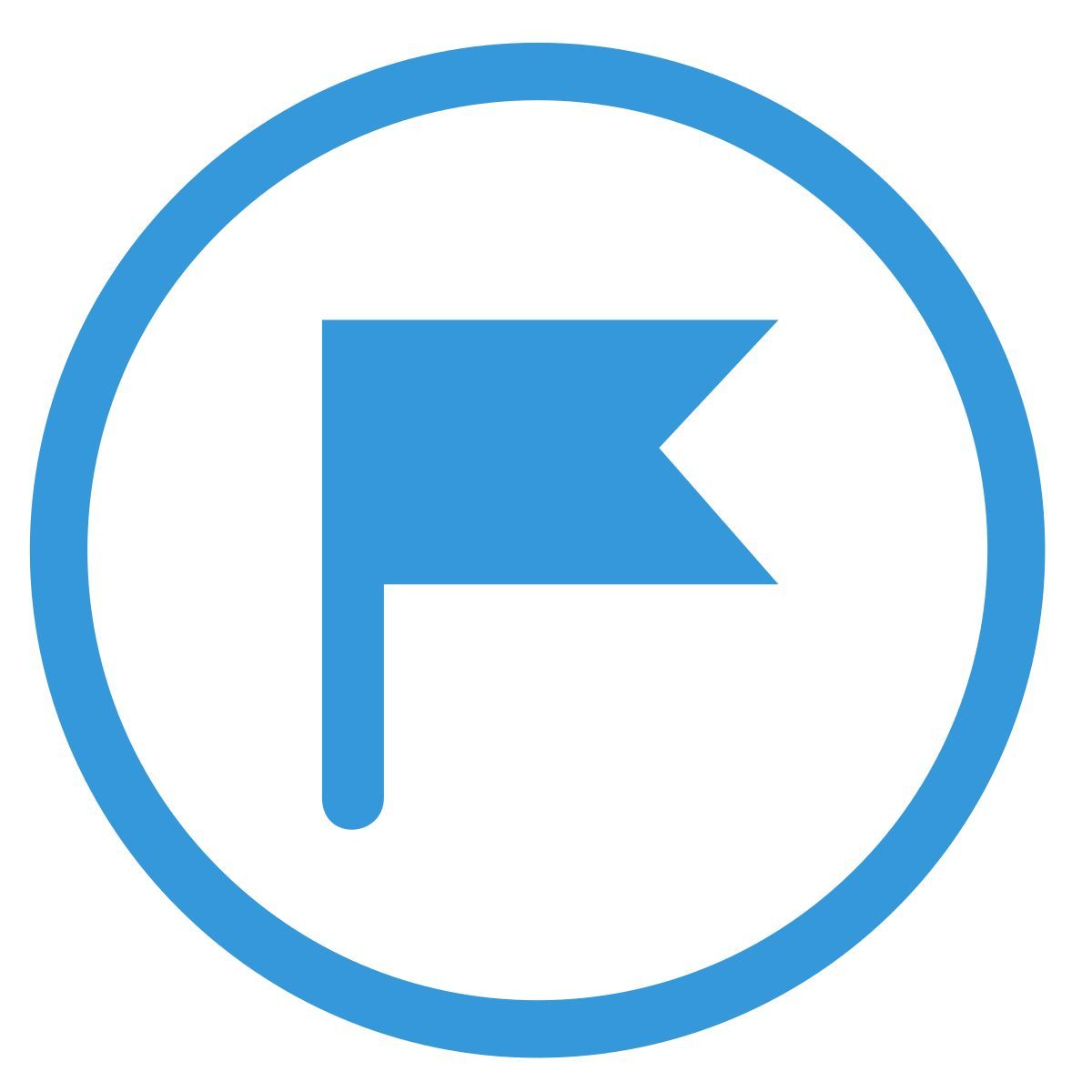 drapeau 2 icon