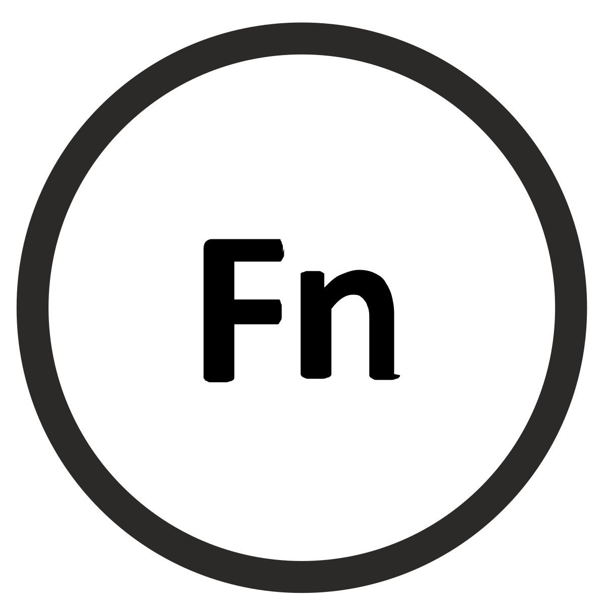 fn icon
