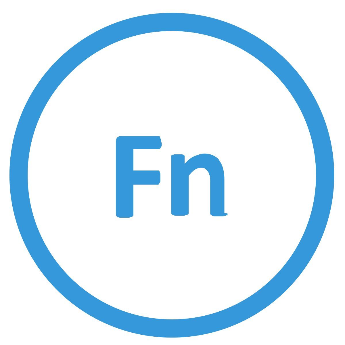 fn icon