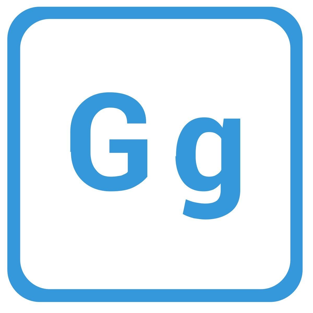 지 icon