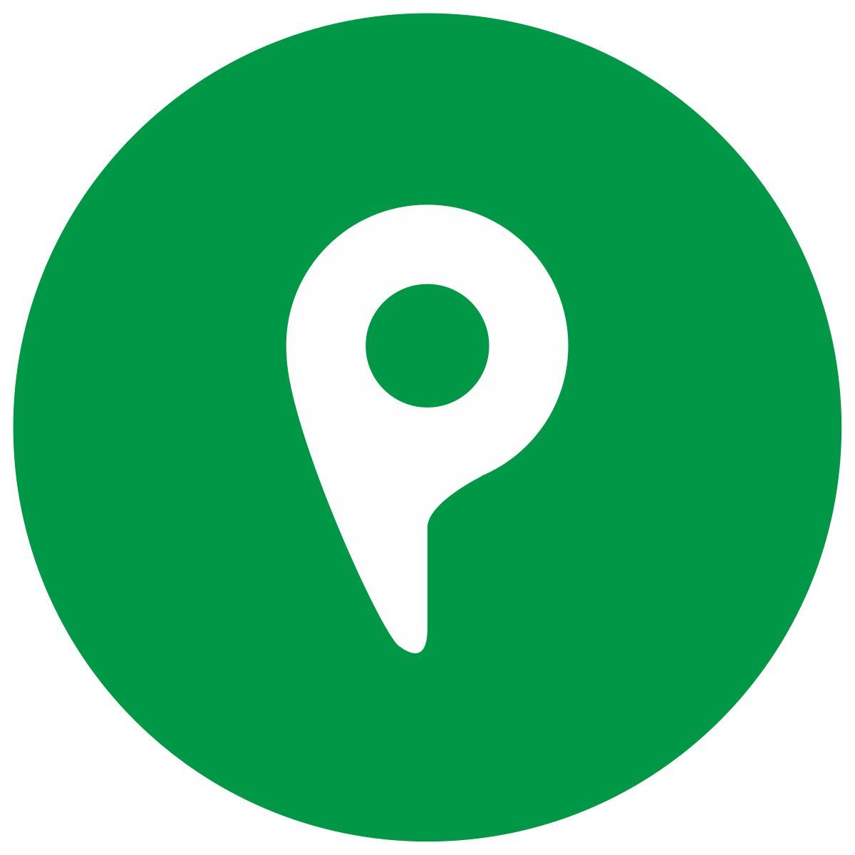 geo icon