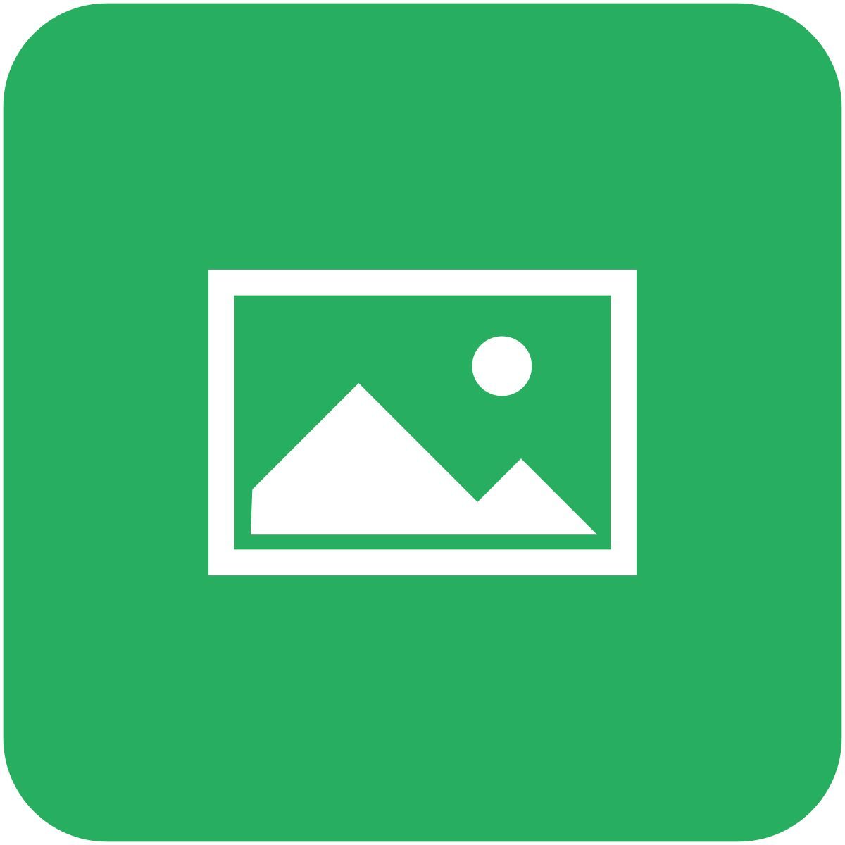 image icon