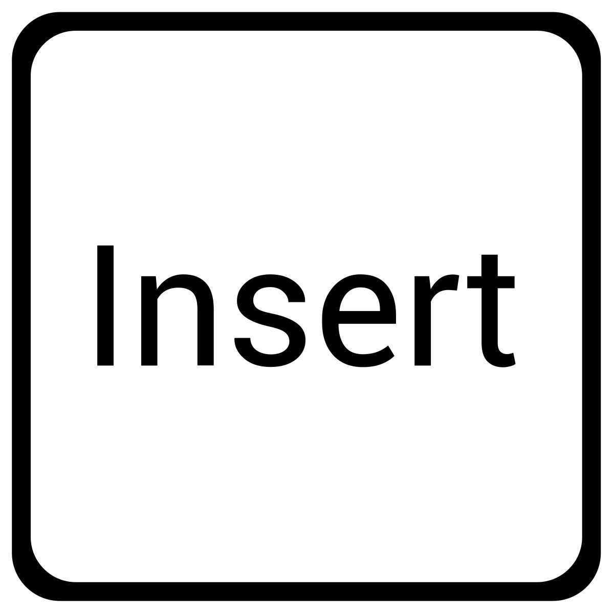 insert icon