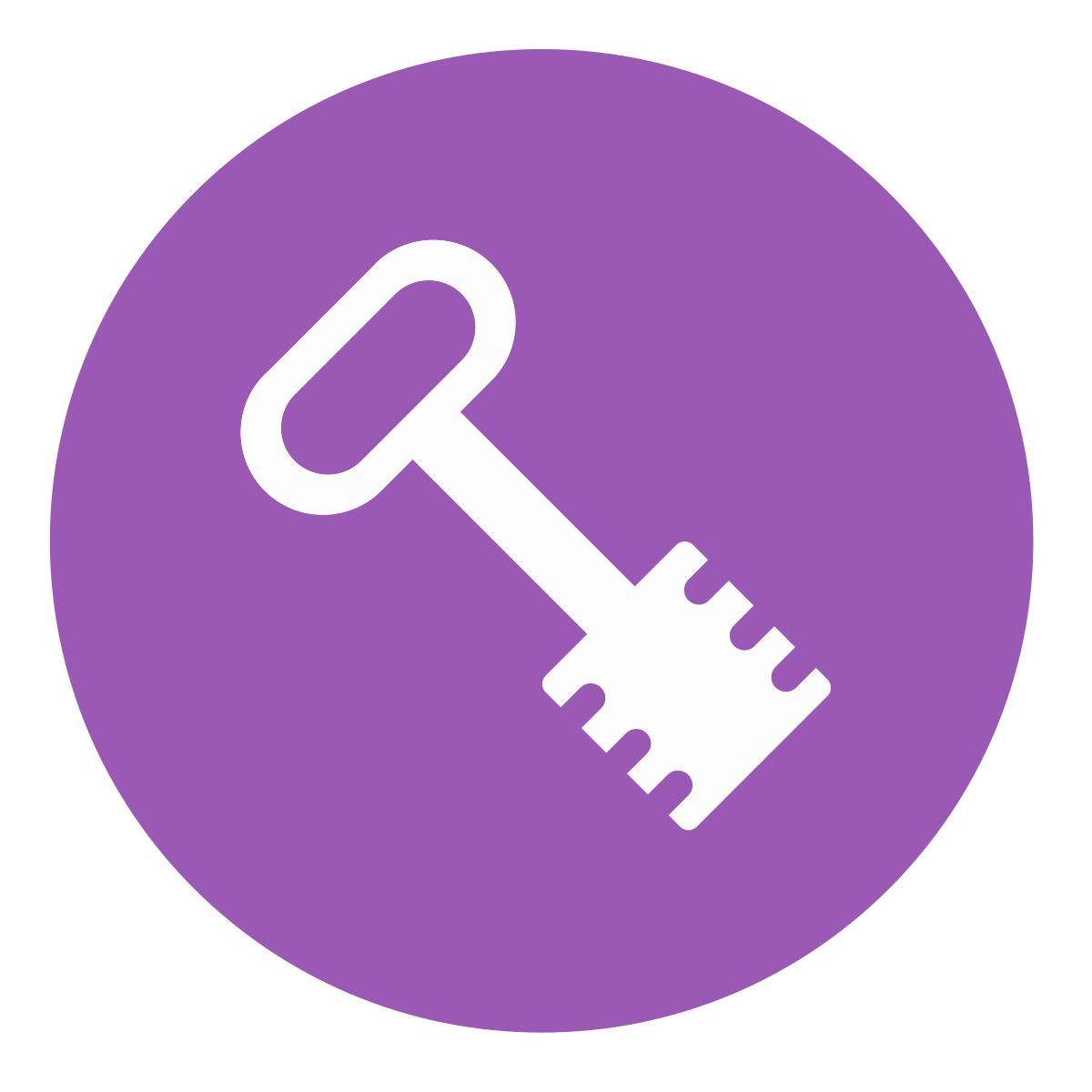 key icon
