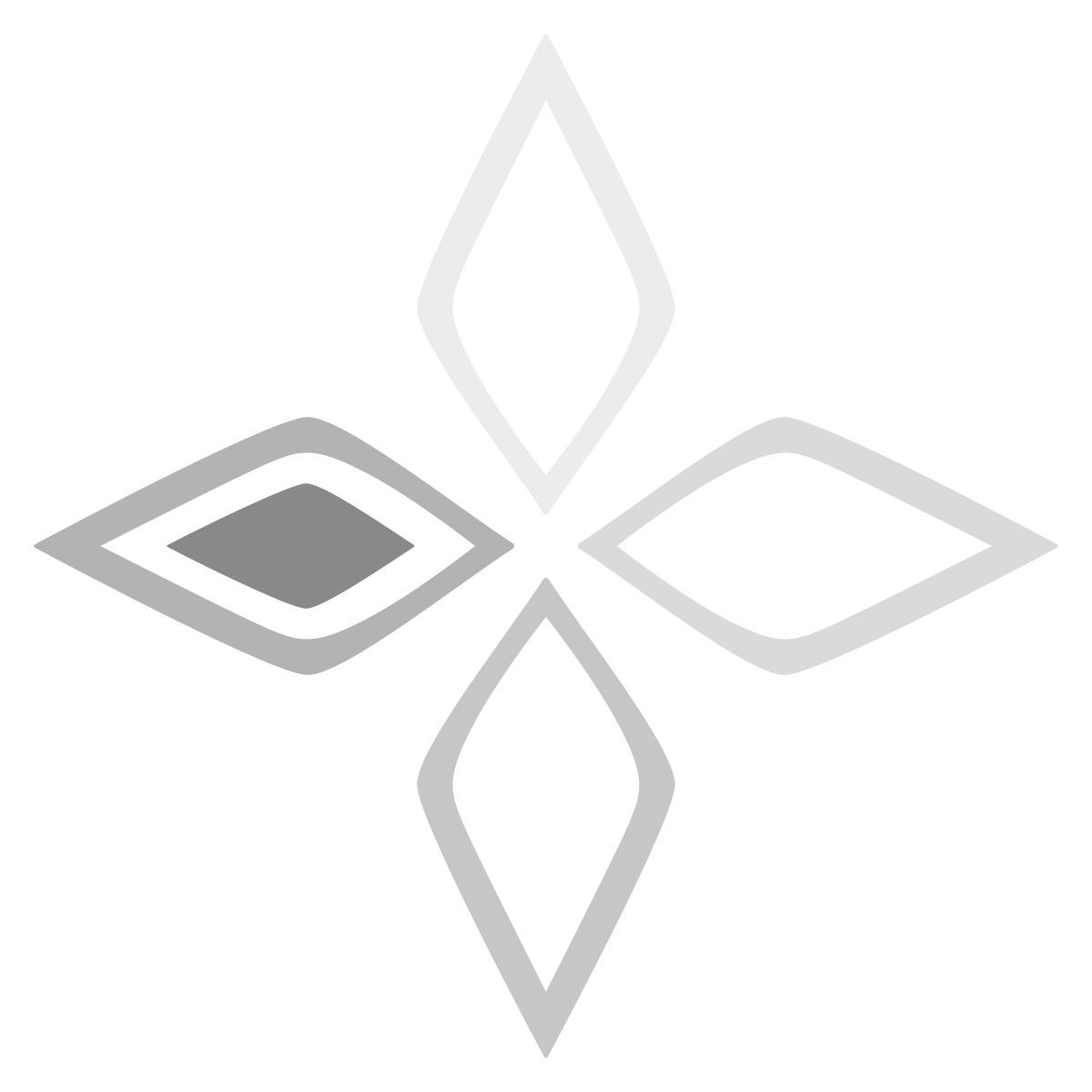 loading icon