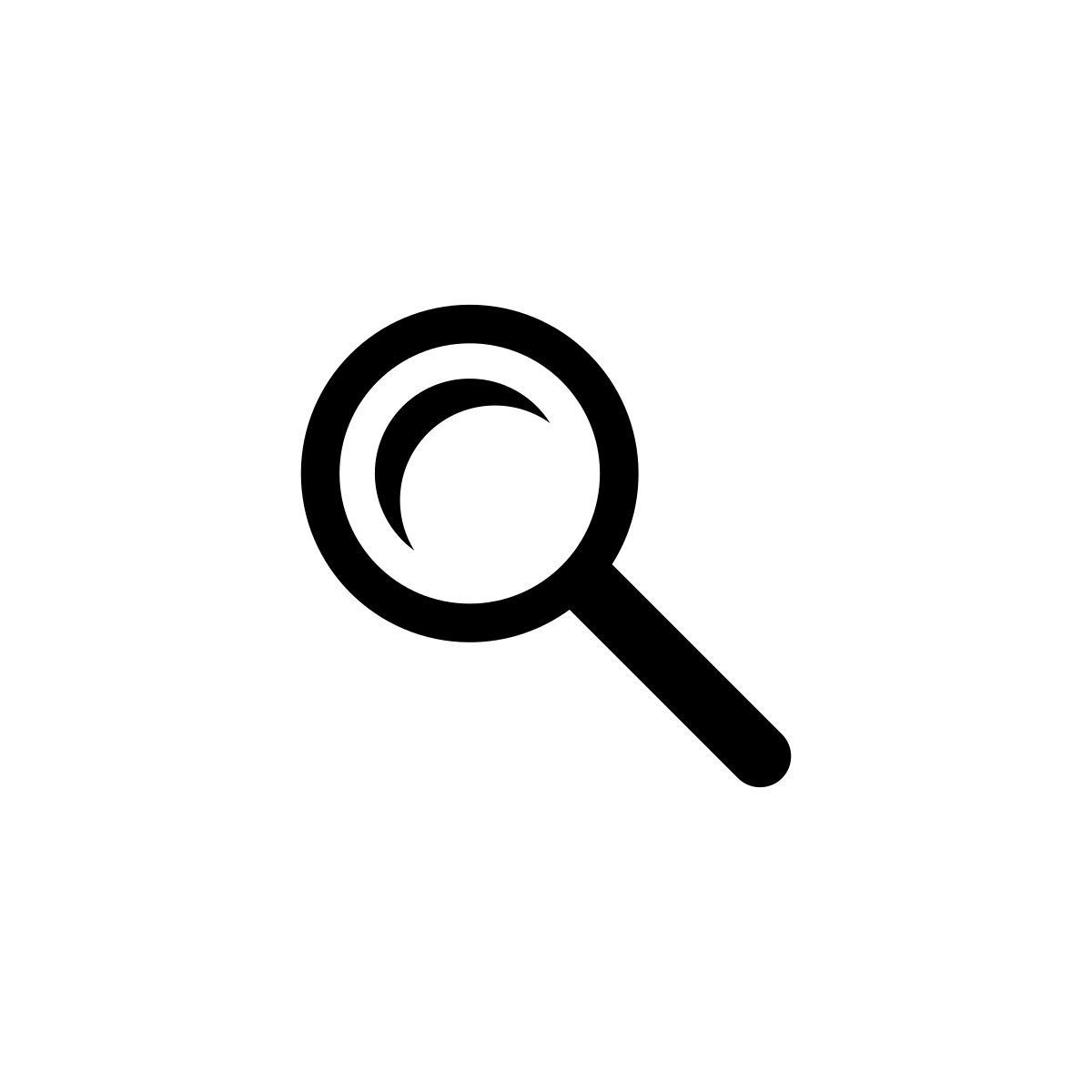 magnifier icon