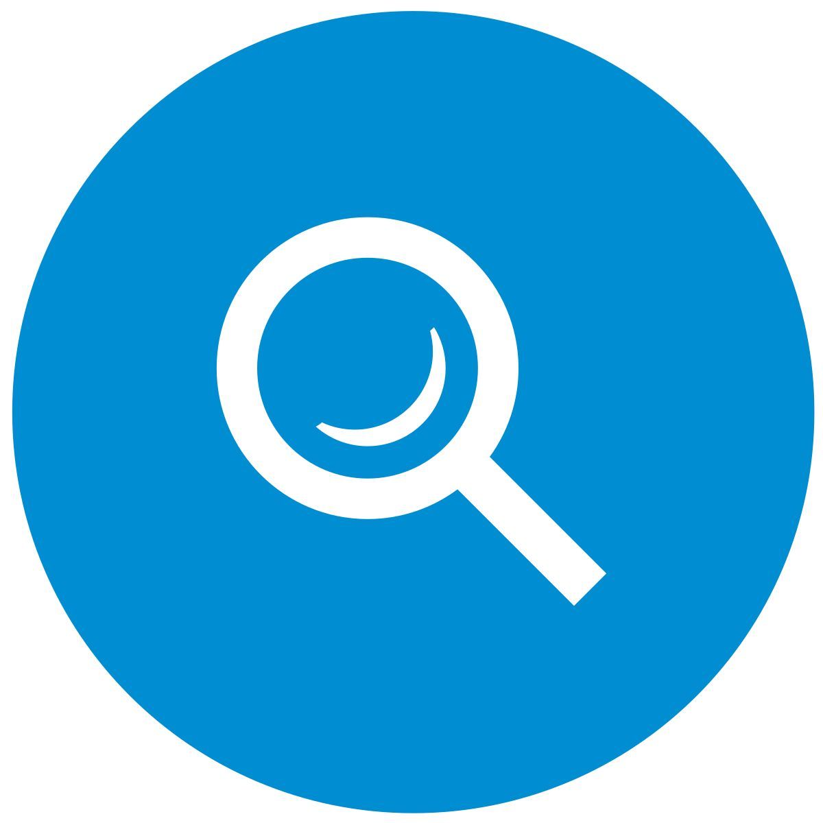 magnifier icon