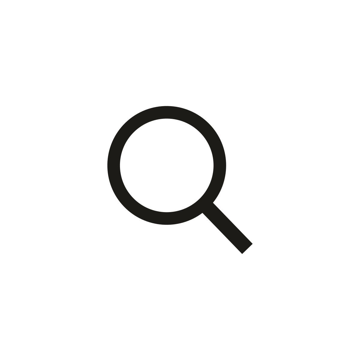magnifier icon