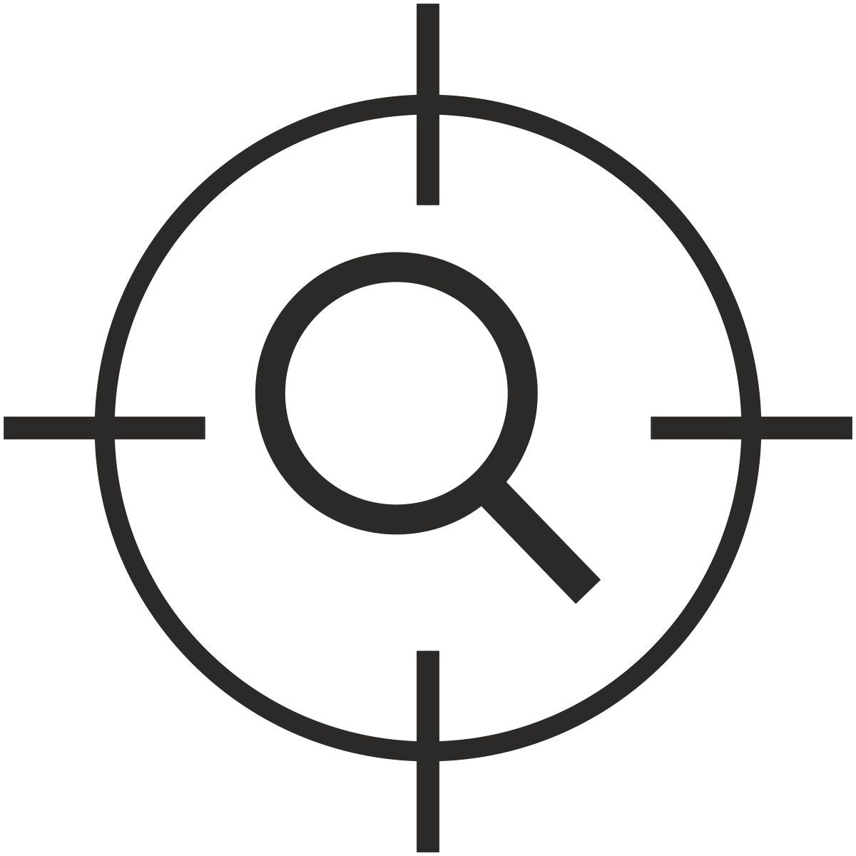 magnifier icon