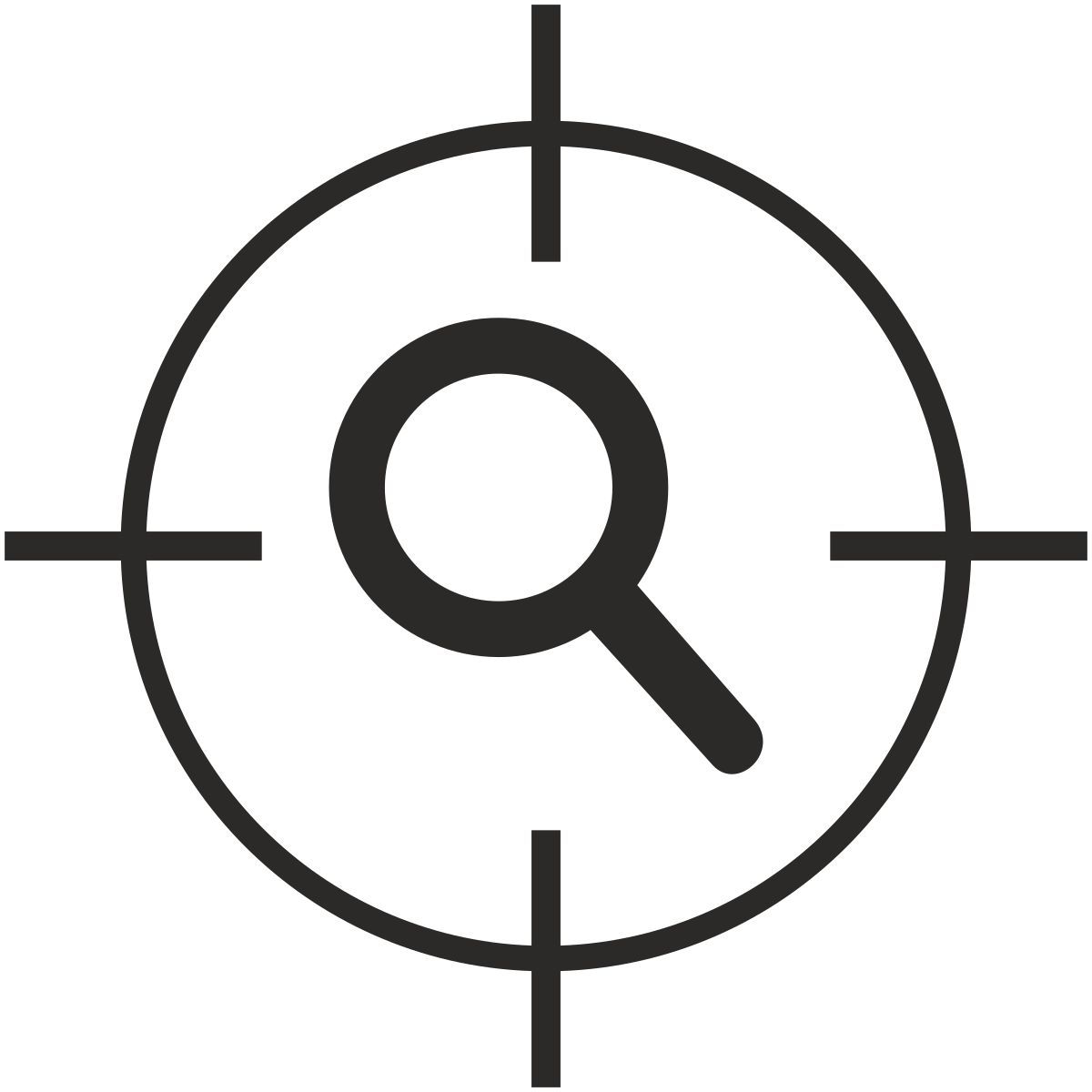 magnifier icon