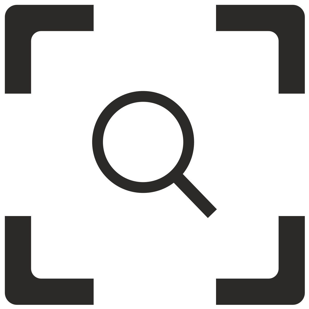 magnifier icon