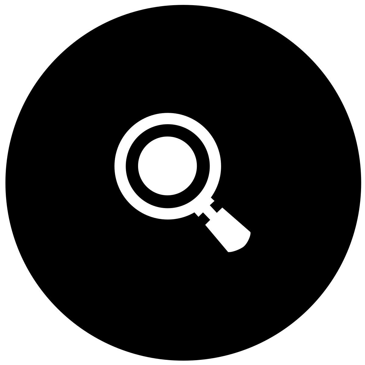magnifier icon