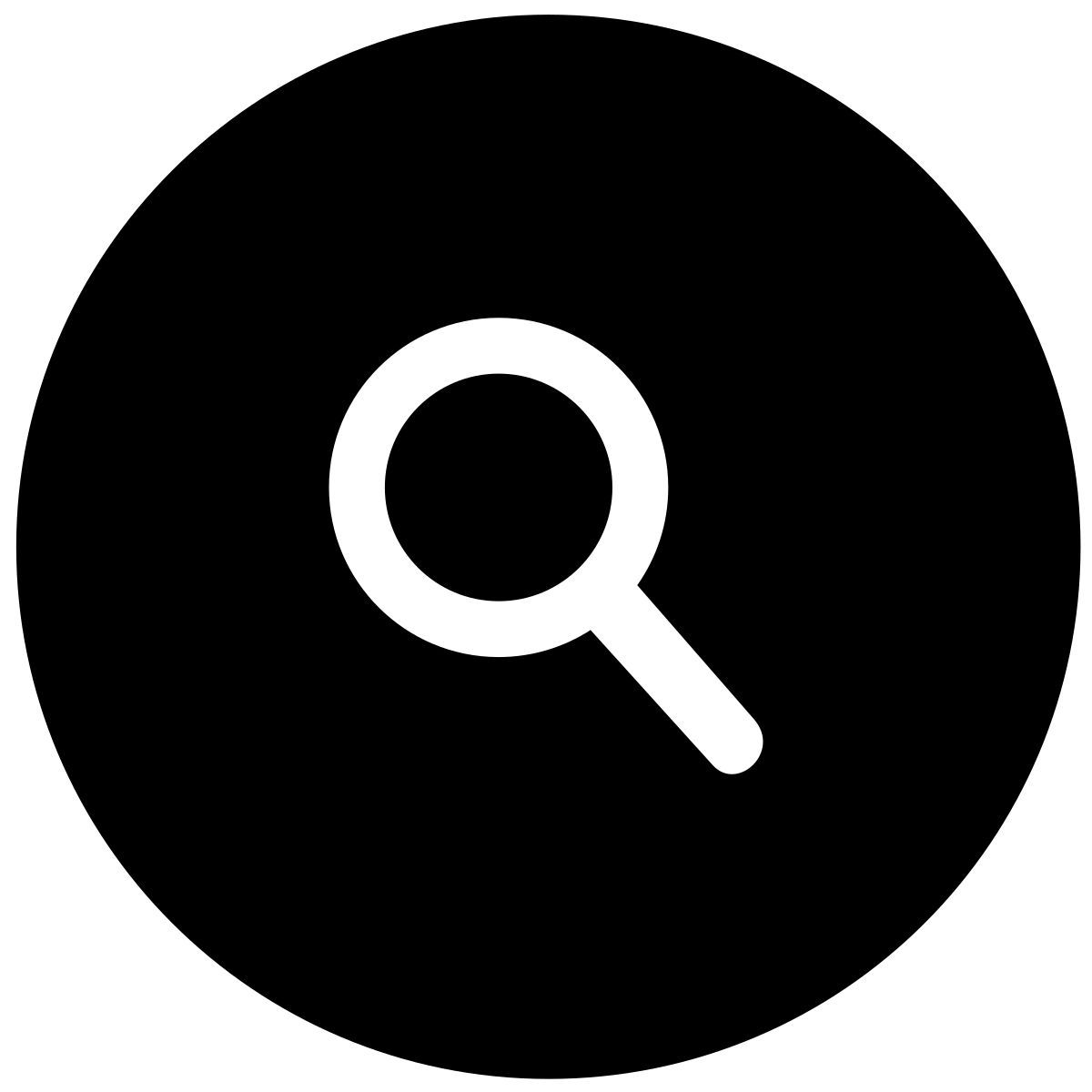 magnifier icon