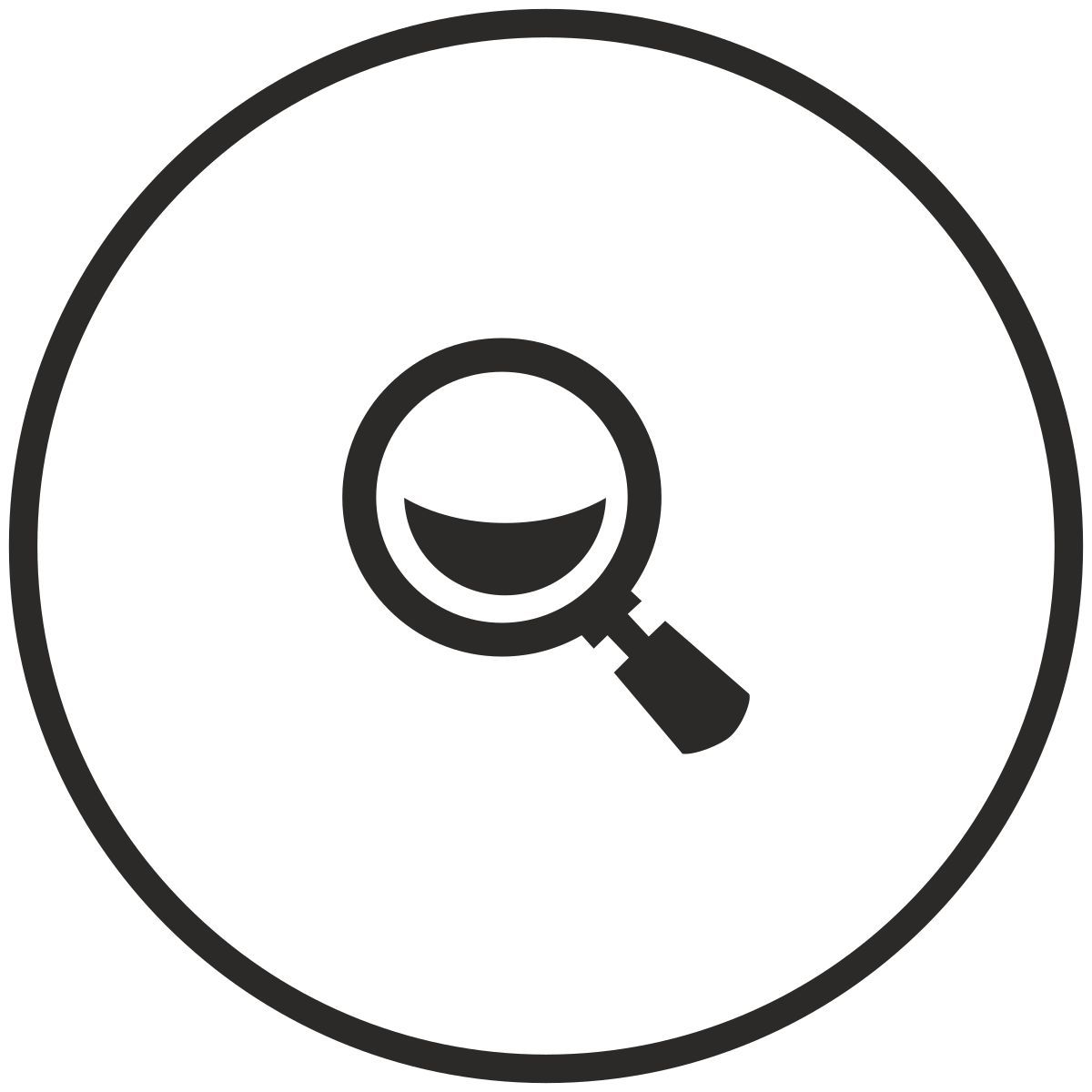 magnifier icon
