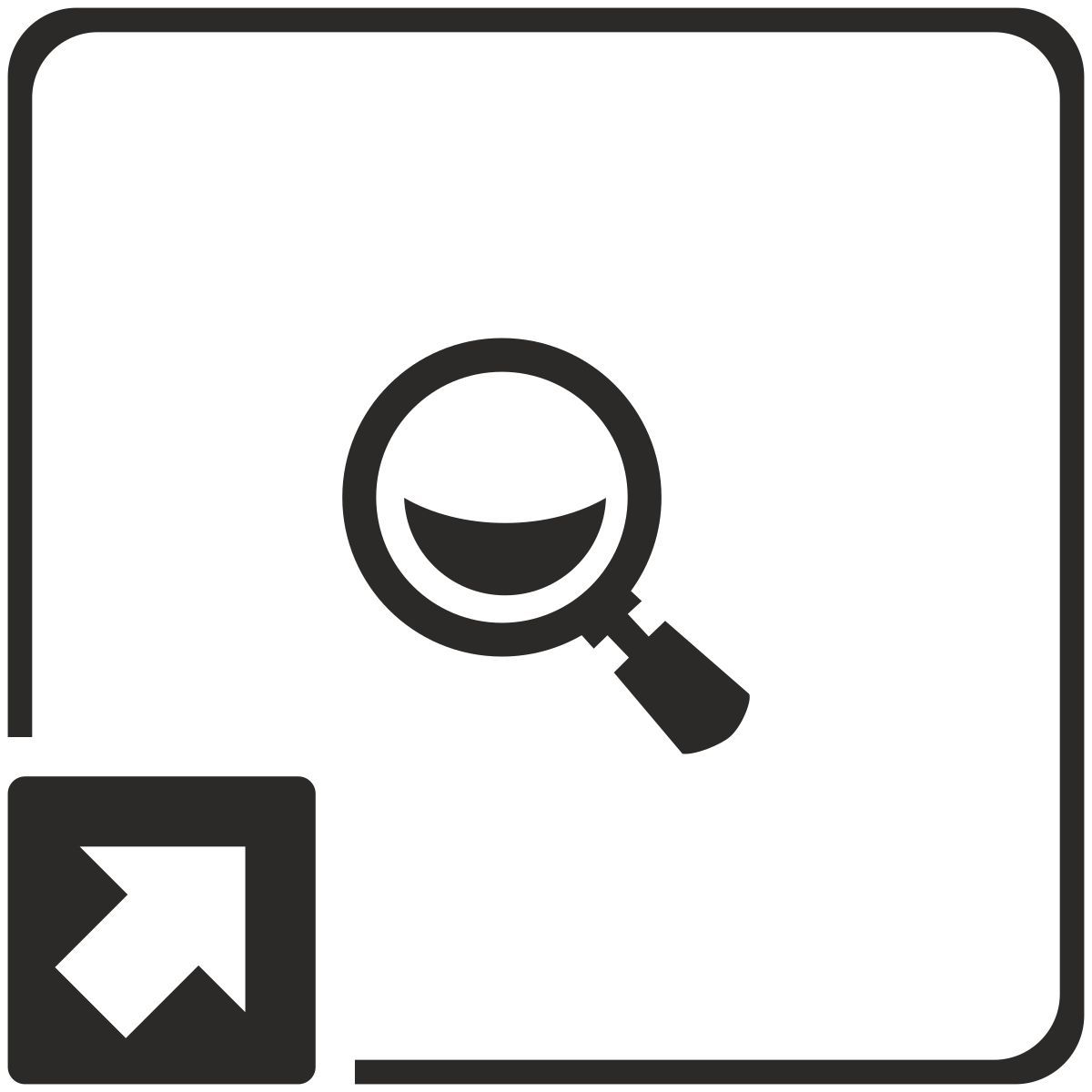magnifier icon
