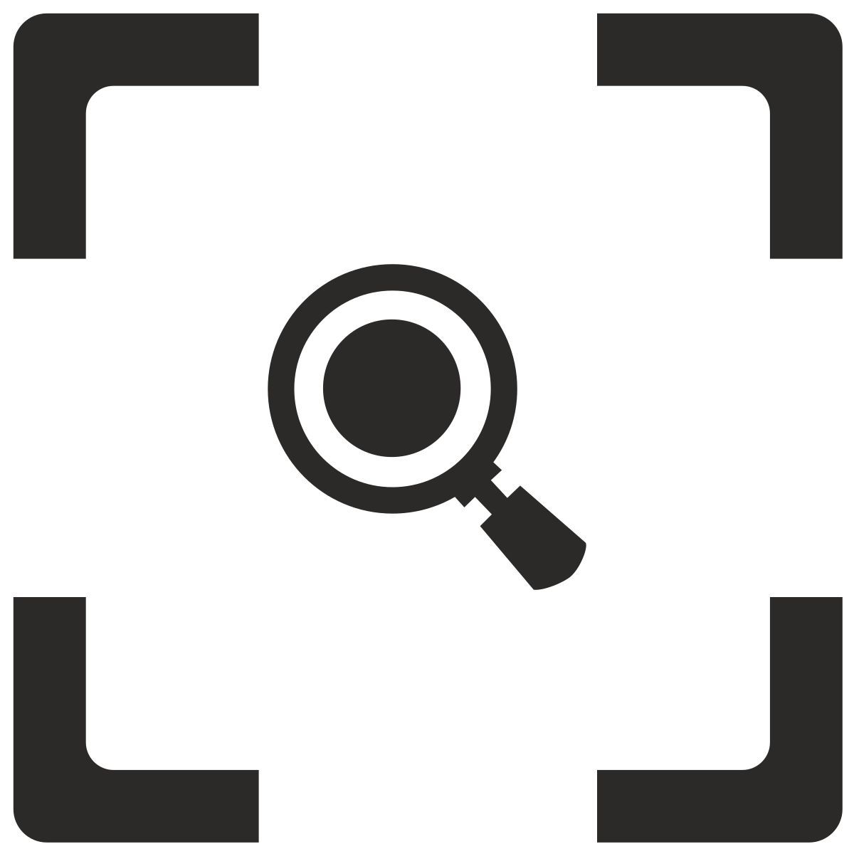 magnifier icon