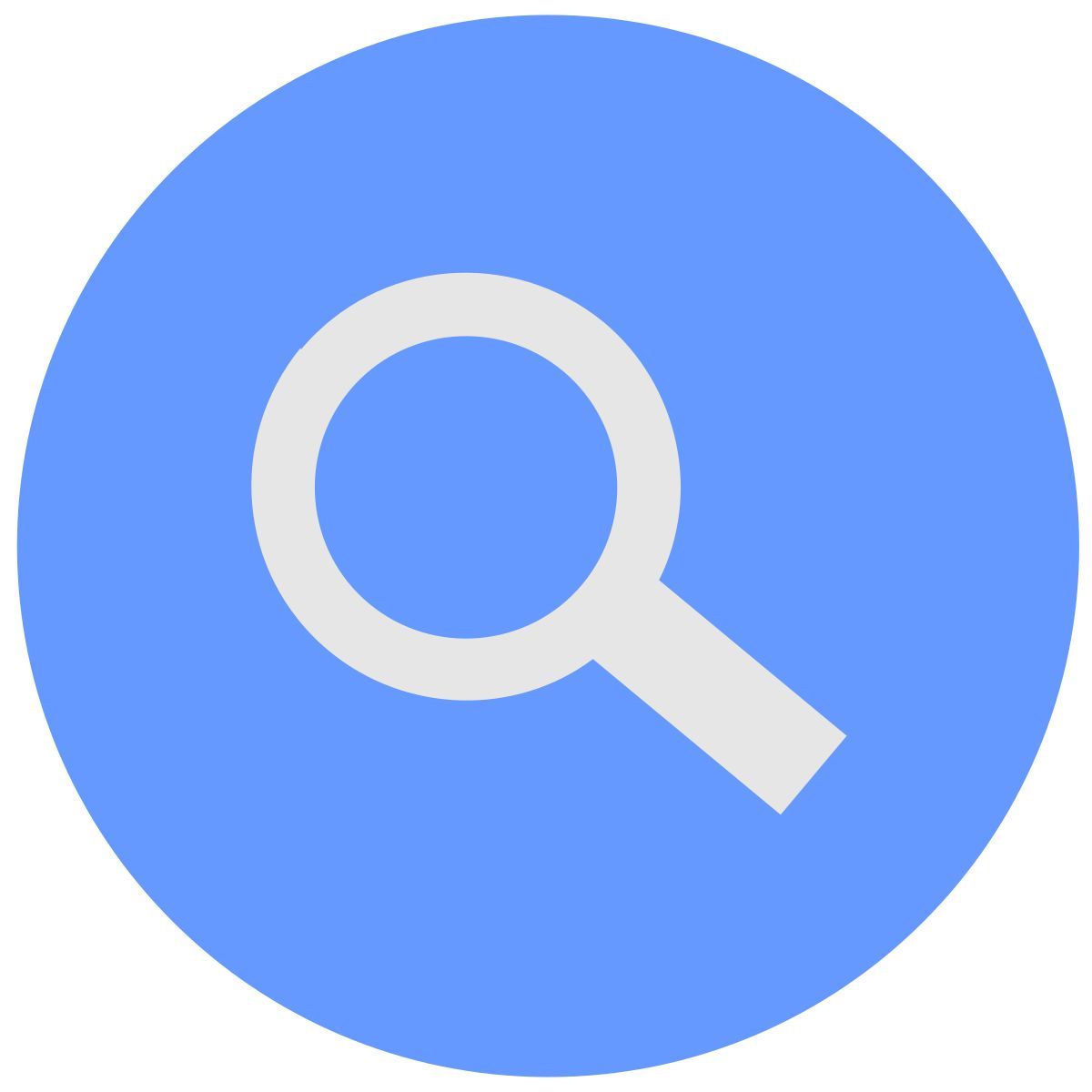 magnifier icon