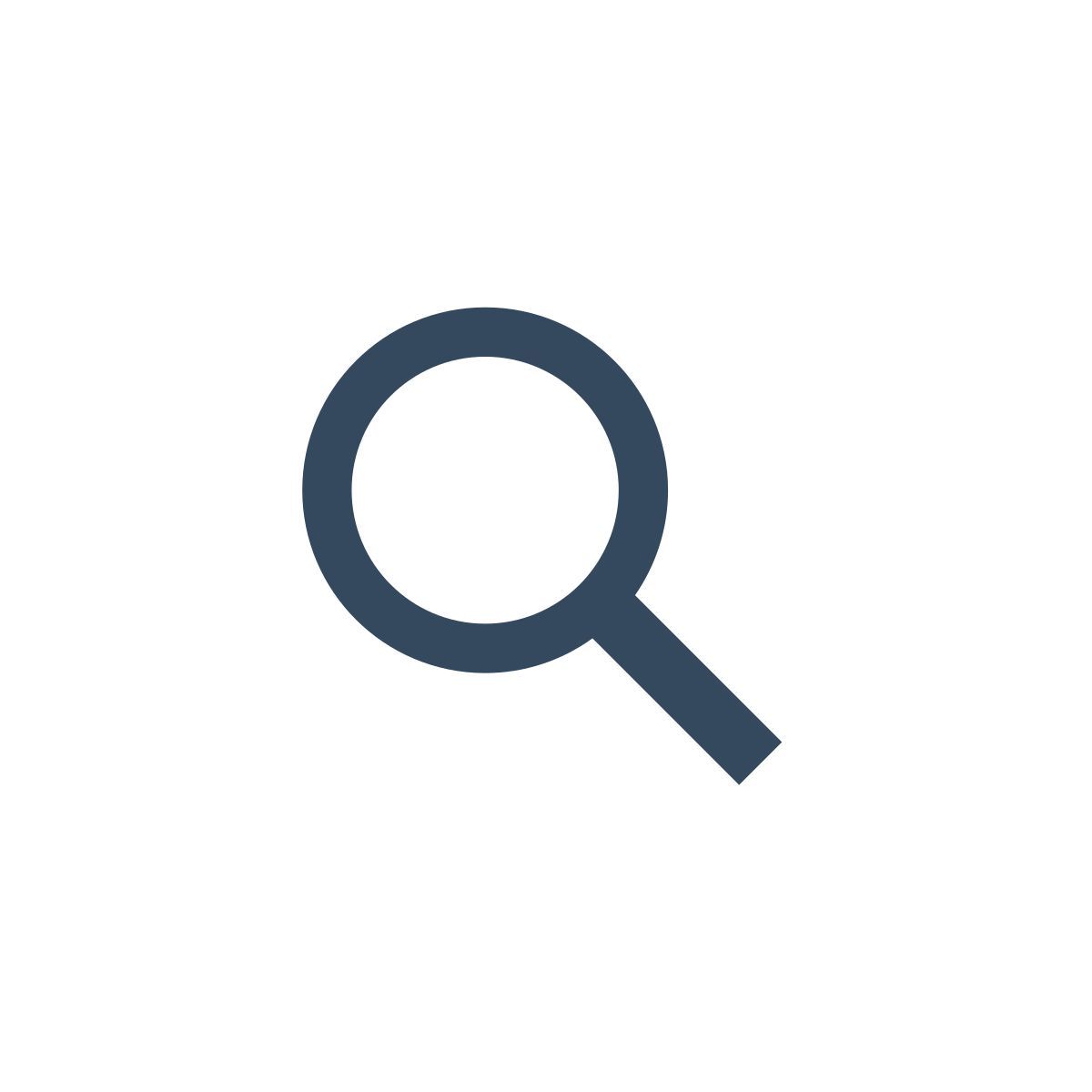 magnifier icon