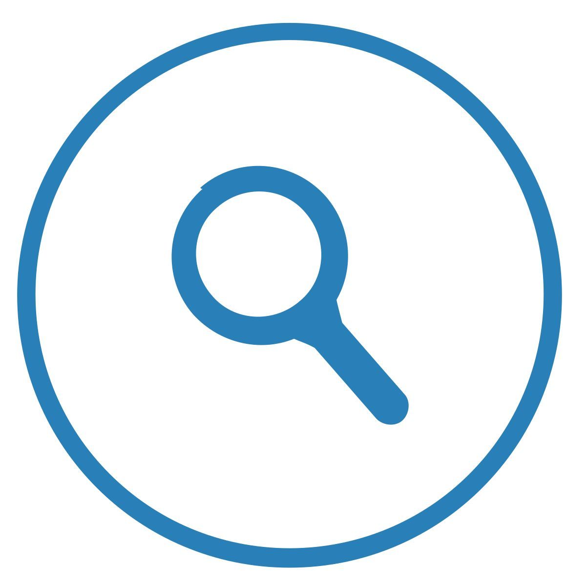 magnifier icon