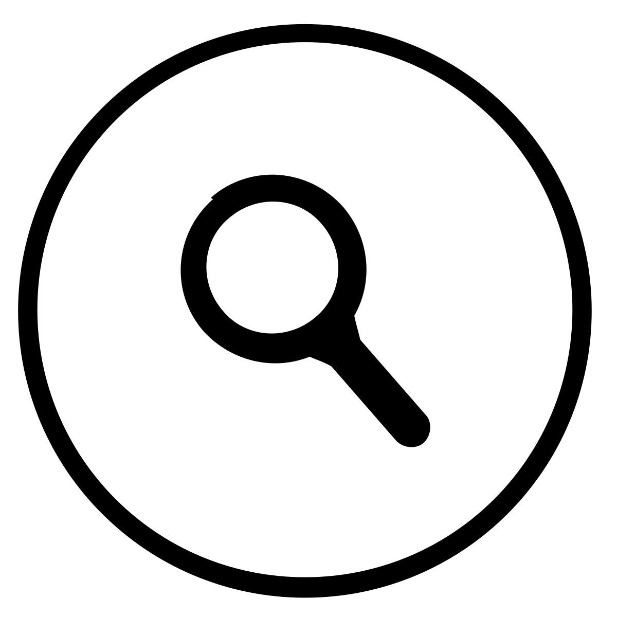 magnifier icon