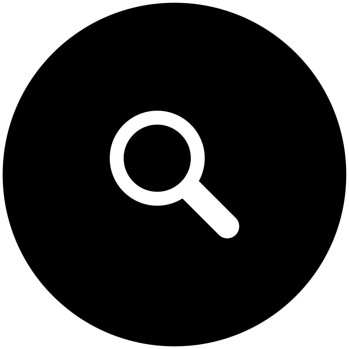 magnifier icon