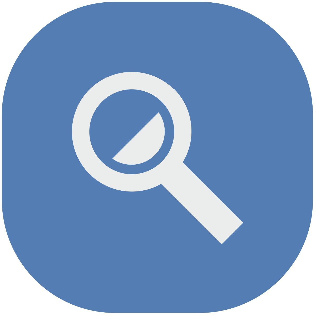 magnifier icon
