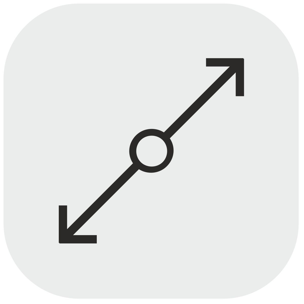maximum size icon