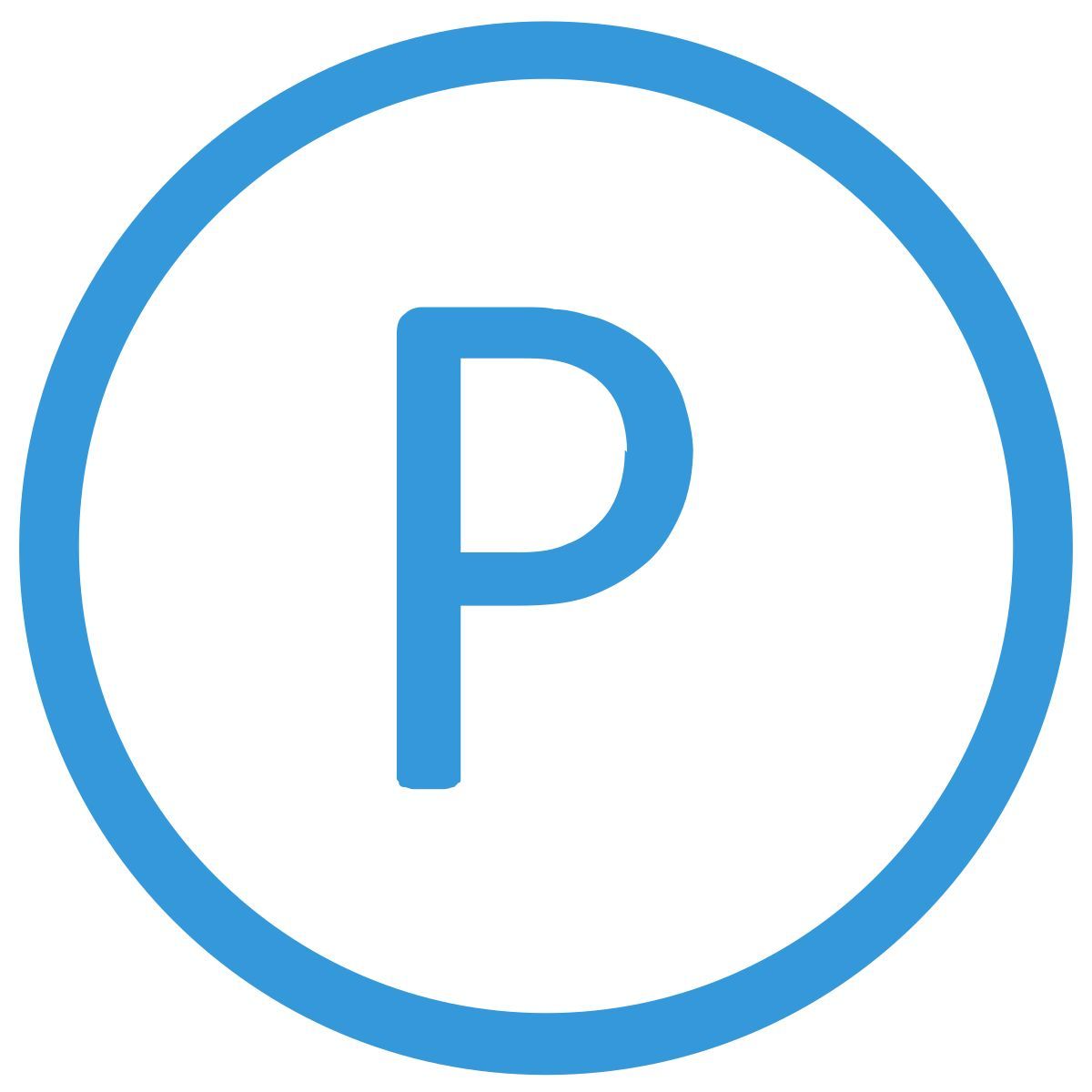 p icon