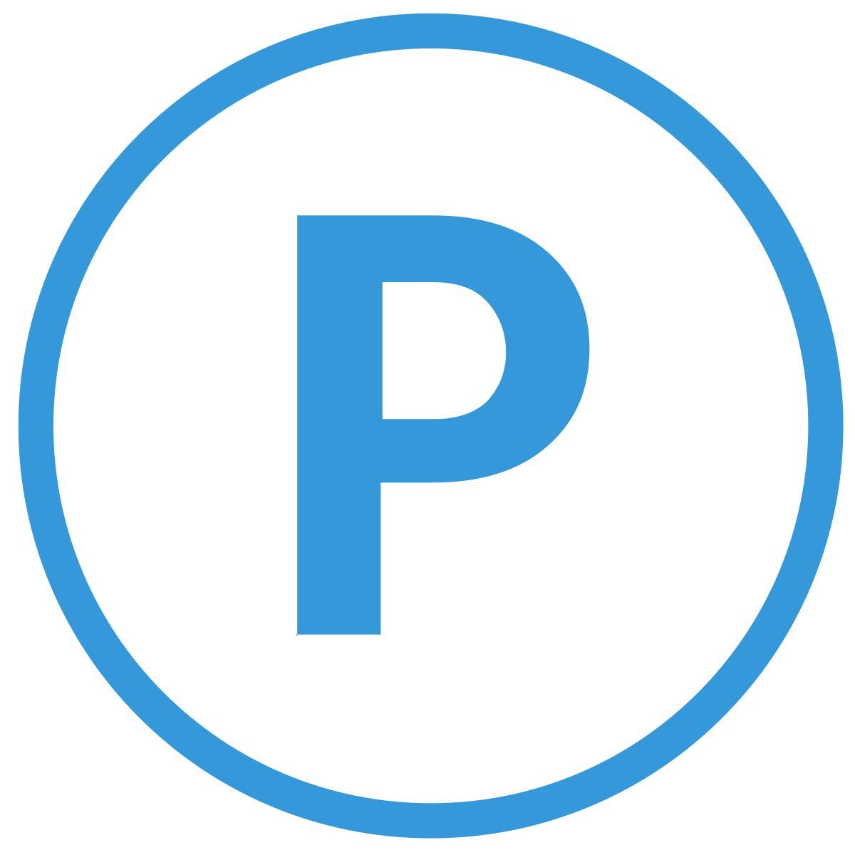p icon
