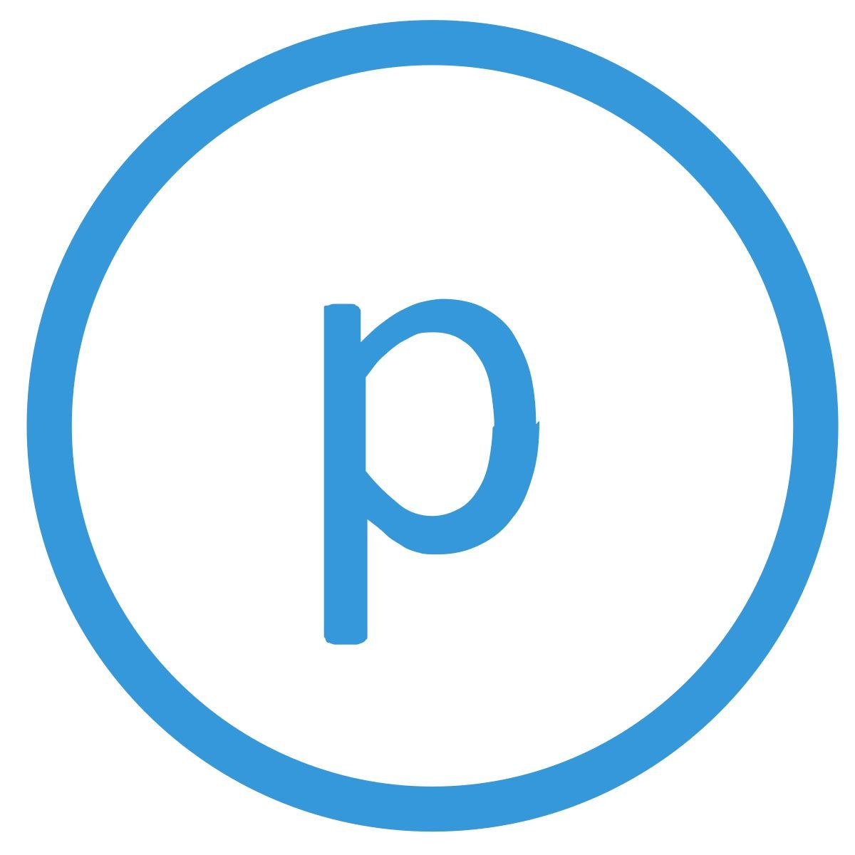 p icon