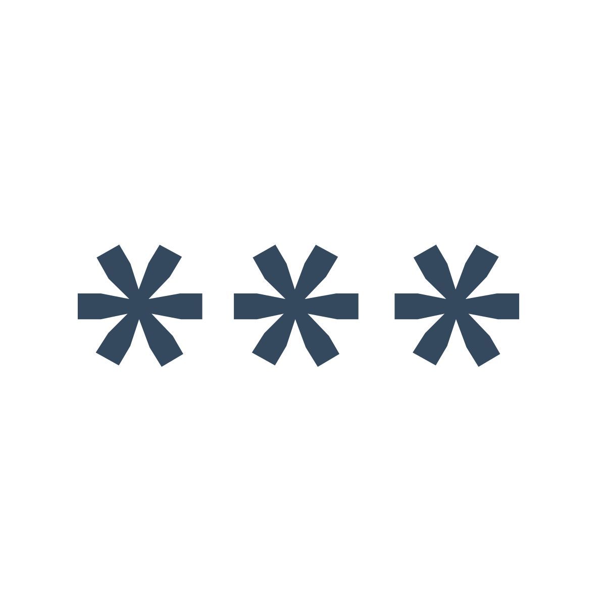 password icon