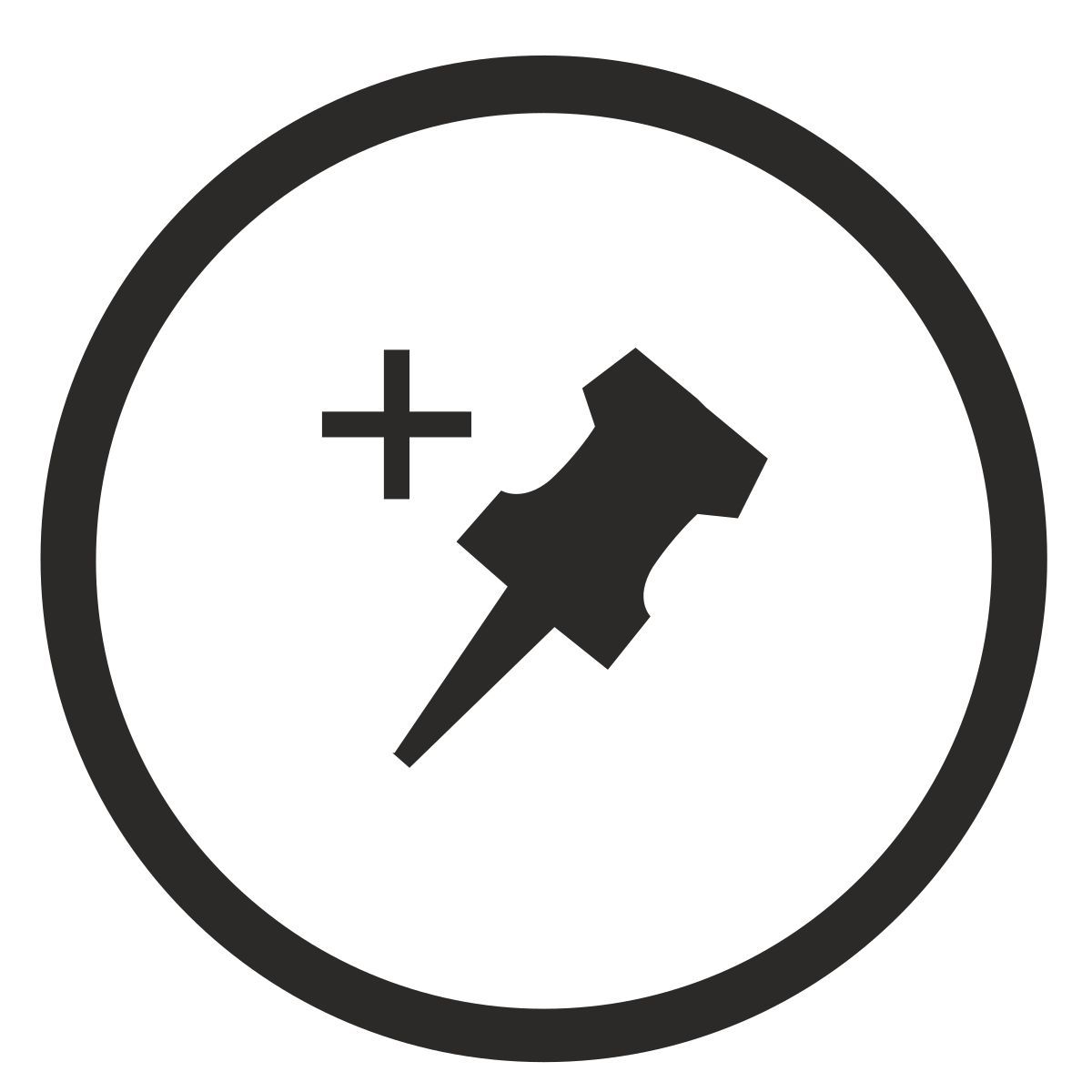 pin icon