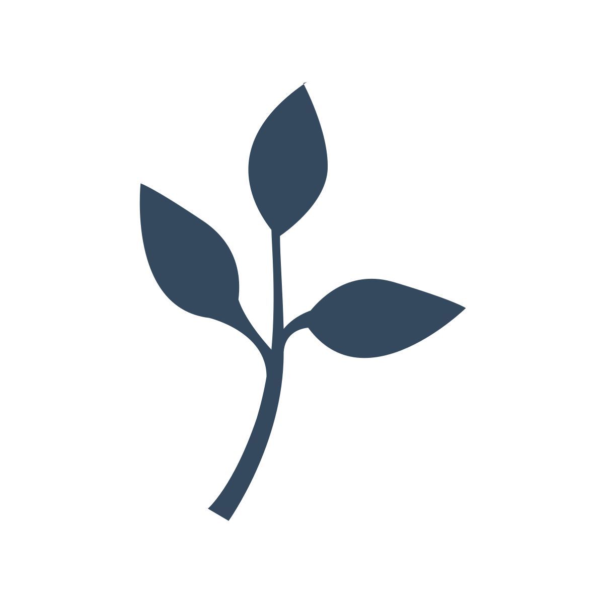 pflanze in der sonne icon